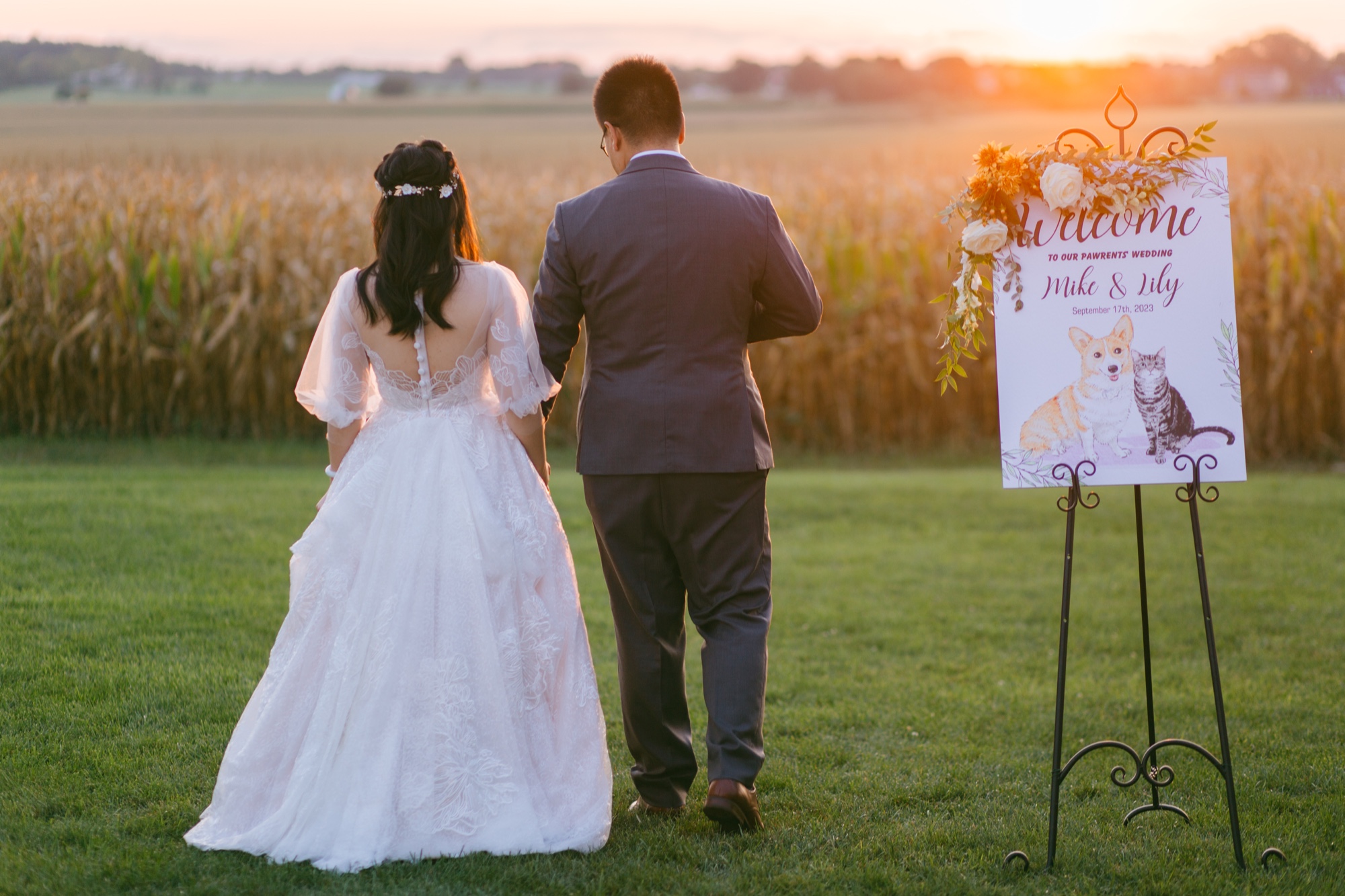 Newlyweds walking beside a cornfield at sunset